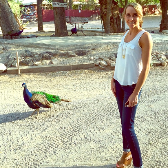 Meet your Posher, Megan - Picture 1 of 1